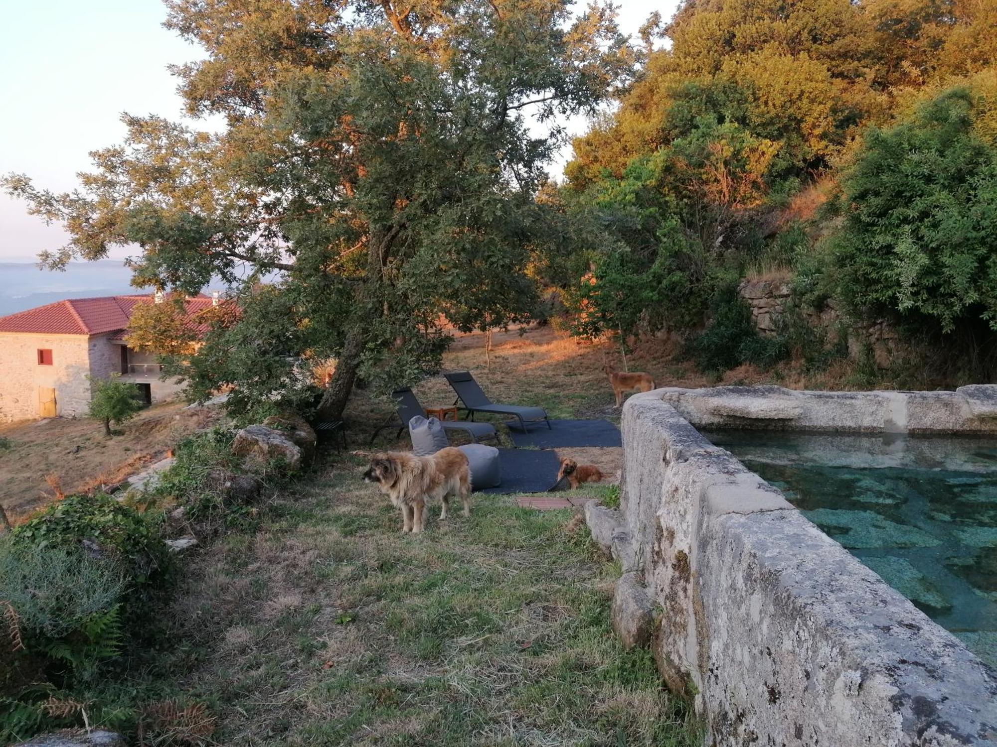 Villa Casa Da Moiroa à Sendim  Extérieur photo